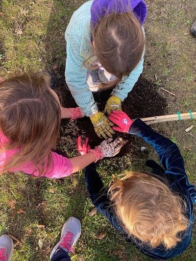 Three students planting a tree