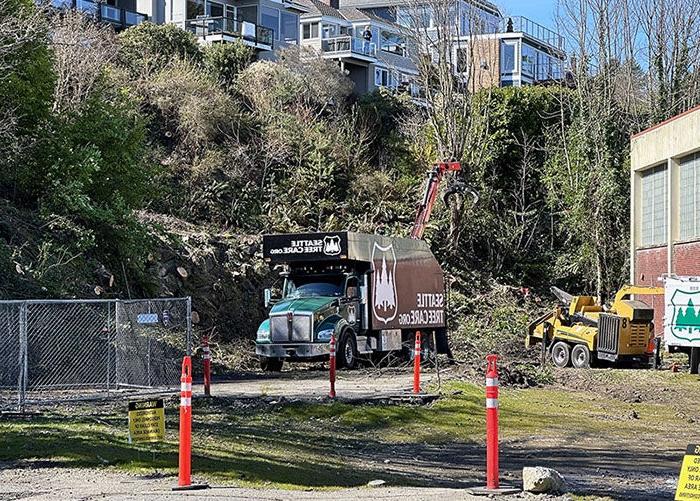 一辆标有“西雅图树木护理”的卡车停在一个斜坡旁边，上面是植被和房屋. 可以看到一个机械臂伸向植物